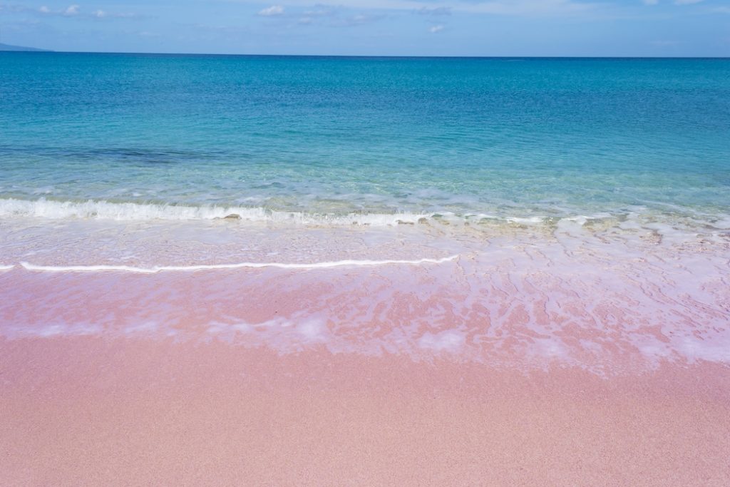 La playa rosa y las 5 playas rosadas más hermosas del mundo