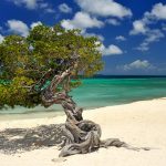11 mejores playas de Aruba