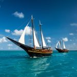 11 tours y excursiones mejor calificados en Aruba