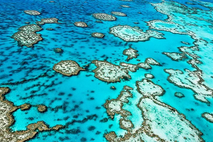 Visitando la Gran Barrera de Coral: 11 atracciones y cosas para hacer mejor calificadas