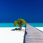15 mejores vacaciones tropicales