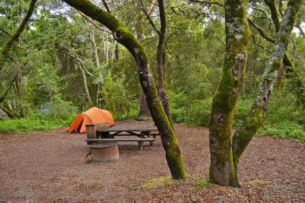 11 campamentos mejor calificados cerca de Santa Cruz, CA