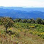 9 mejores rutas de senderismo en el Parque Nacional Shenandoah