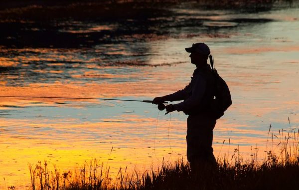 11 destinos de pesca con mosca mejor calificados en Wyoming