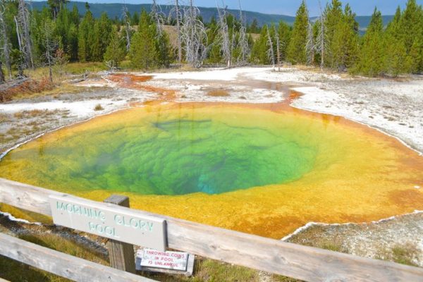 12 rutas de senderismo mejor valoradas en el Parque Nacional de Yellowstone