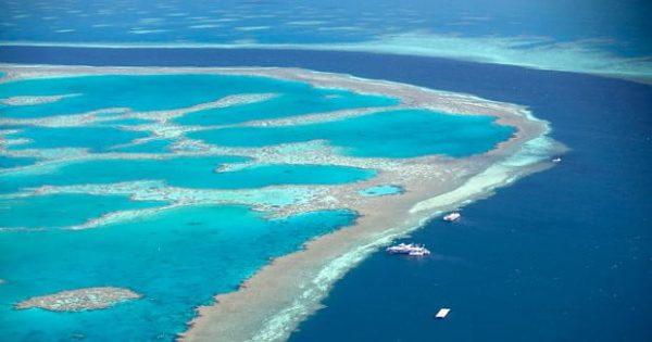 Gran Barrera de Coral: como visitar y donde alojarse