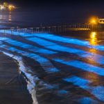 El fenómeno de las playas que se iluminan de noche: dónde y por qué ocurre