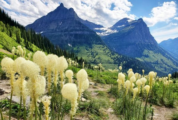 16 atracciones turísticas y cosas para hacer mejor valoradas en Montana