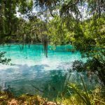7 mejores pozos para nadar en Florida &#8211; Big 7 Travel