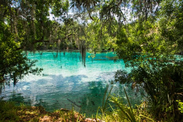 7 mejores pozos para nadar en Florida &#8211; Big 7 Travel