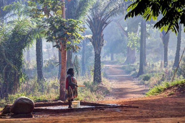 7 datos interesantes sobre Camerún &#8211; Big 7 Travel