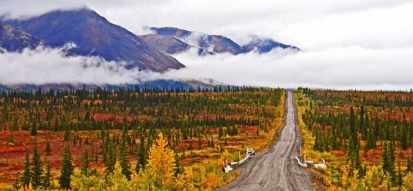Viajes por carretera a Alaska: mejores recorridos en el estado