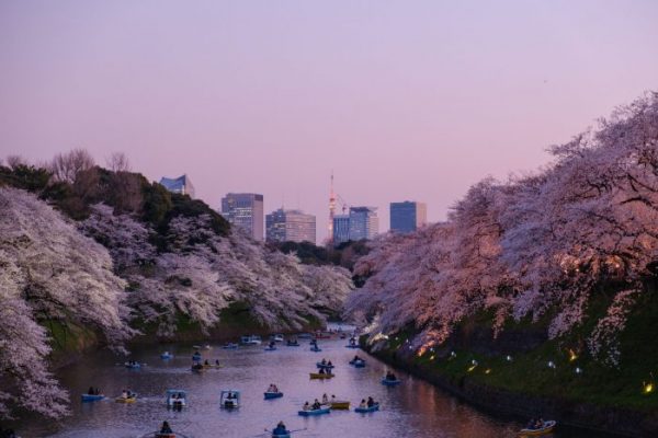 7 tradiciones únicas en Japón &#8211; Big 7 Travel