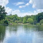 13 mejores parques en Raleigh, NC