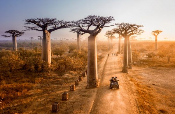 7 datos interesantes sobre Madagascar &#8211; Big 7 Travel