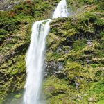15 cascadas increíbles en Nueva Zelanda