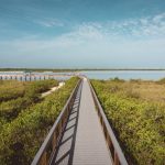 15 mejores cosas para hacer en New Smyrna Beach (FL)