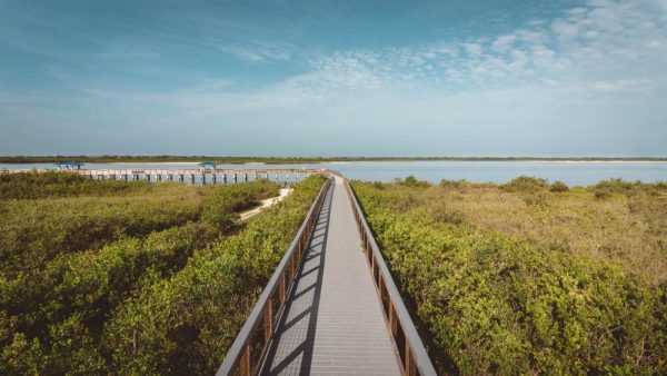 15 mejores cosas que hacer en New Smyrna Beach (FL)