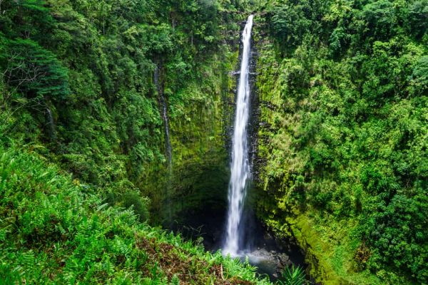 15 mejores cosas para hacer en Hilo (Hawái)
