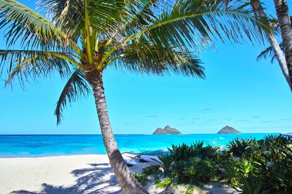 15 mejores cosas que hacer en Kailua (Hawai)