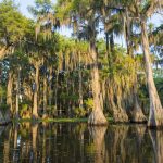 15 mejores lagos en Louisiana