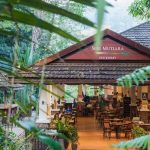 25 mejores cosas que hacer en el Parque Doméstico Taman Negara (Malasia)