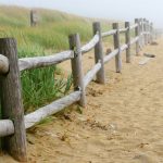 15 mejores playas en Maine