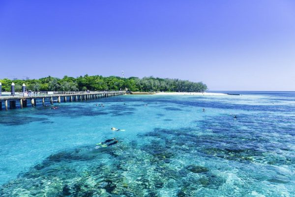 15 mejores excursiones de un día desde Cairns