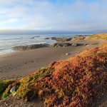 10 mejores playas cerca de Fort Bragg, CA
