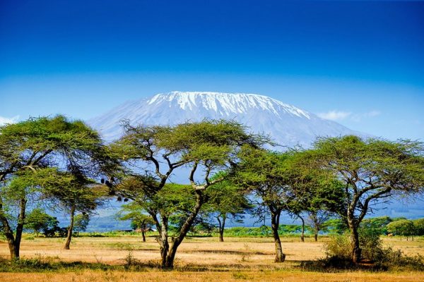 15 atracciones turísticas mejor calificadas en Kenia