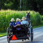 País Amish de Ohio: 12 puntos destacados y tesoros escondidos