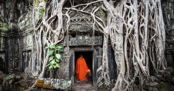 De Bangkok a Siem Reap: 5 mejores formas de resistir