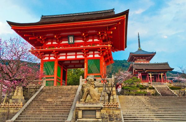 9 excursiones de un día mejor valoradas desde Osaka