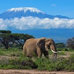 15 atracciones turísticas mejor calificadas en Tanzania