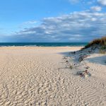 Las 14 mejores playas de Texas