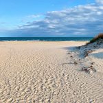 13 mejores playas en Corpus Christi, TX