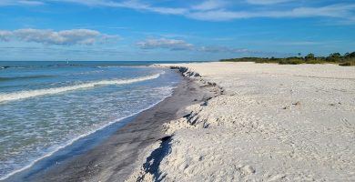 Las 7 mejores playas cerca de Dunedin, Florida
