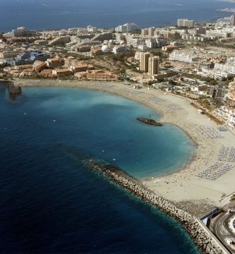 Fuente Playa de Las Vistas