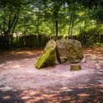 Los 3 bosques legendarios para visitar en Bretaña