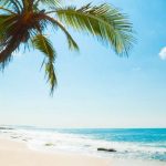 Las Mejores Playas De Sri Lanka