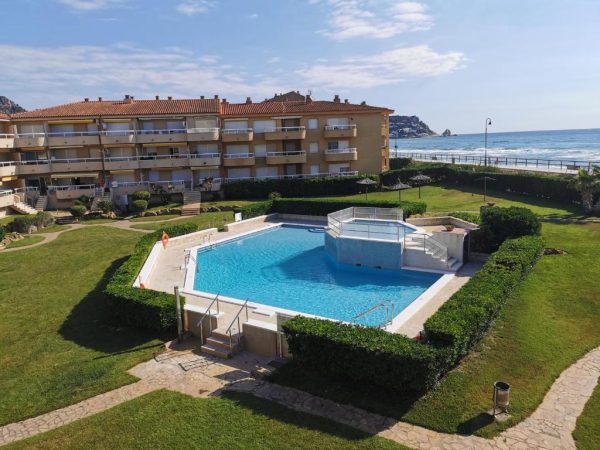 Tu guía definitiva para explorar Argonavis Estartit con estilo